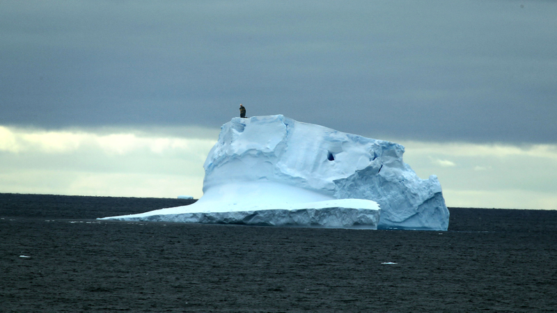 Illustration for article titled DNC Committee Throws Bound Jay Inslee Onto Melting Iceberg Before Pushing Him Out To Sea